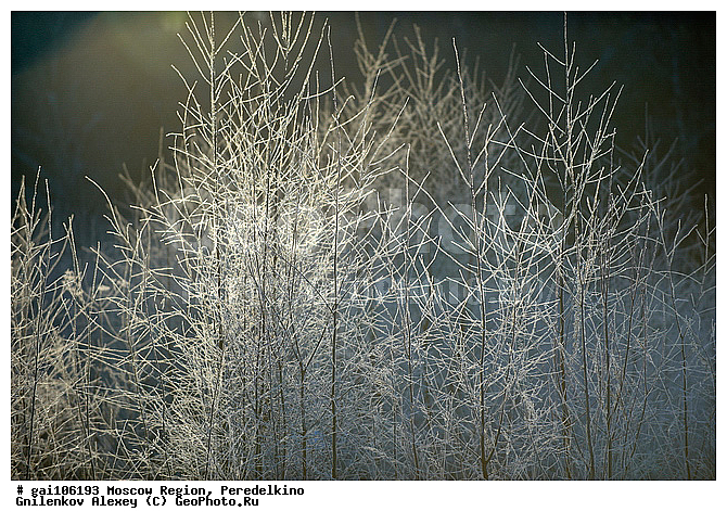 �����������, ����, ���, ������