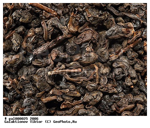 ������, �����, ����, ���������, ���, ������ ���������, ������� �����