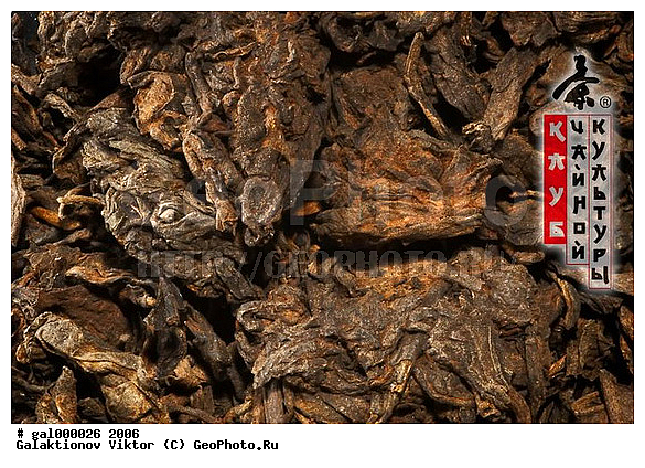 ������, �����, ����, ���������, ���, ������ ���������, ������� �����