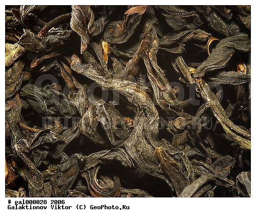 ������, �����, ����, ���������, ���, ������ ���������, ������� �����