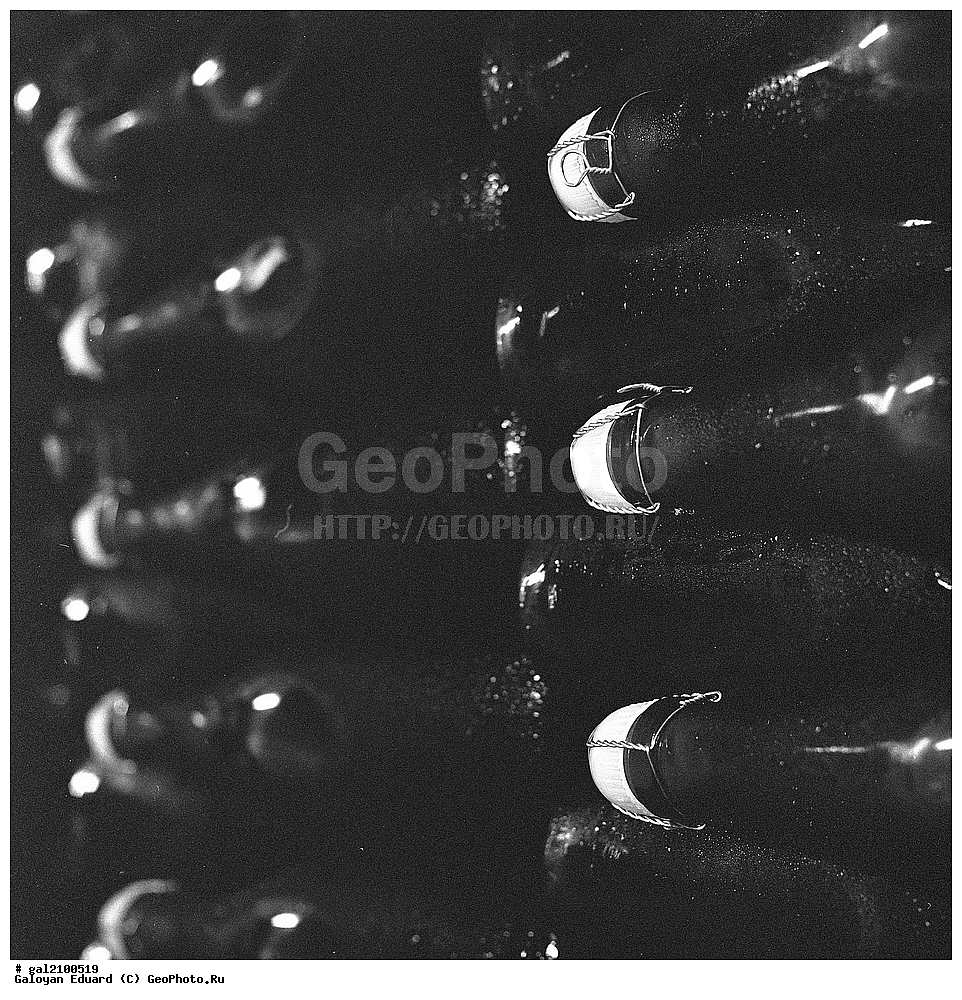 �����, ����������, ������, ����