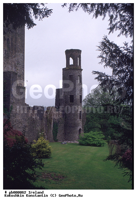 �����������, �����, �������, ��������� �����