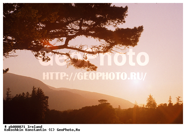 ������, ����, �����