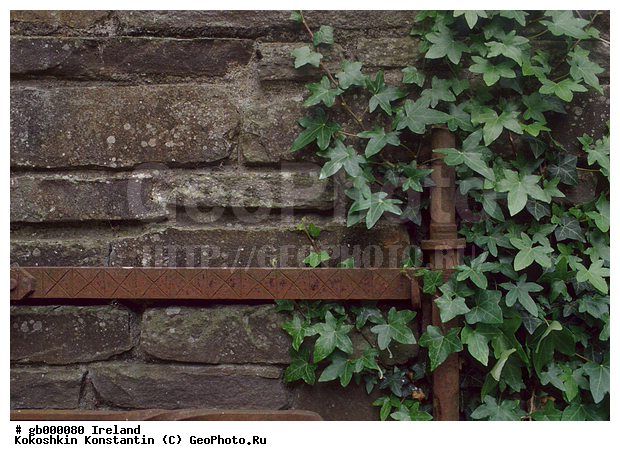 �������� �����, ��������, �����