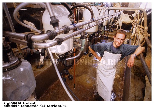 ����������� �����, ��������