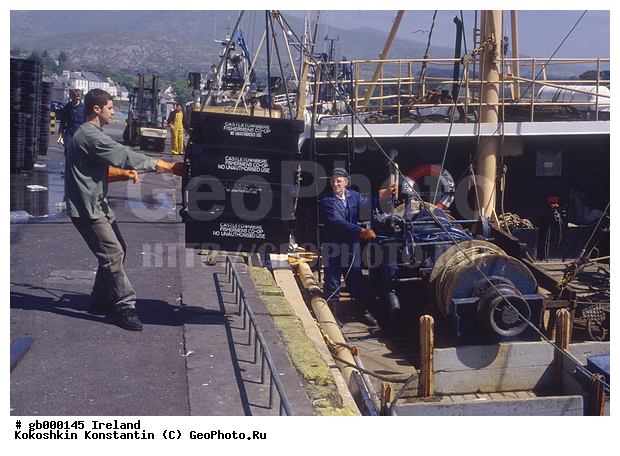 ��������, �������, ���������, �����