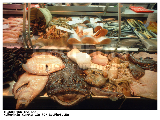 ��������, ����� � ������ ����