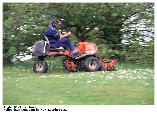 �����, ������, ����, ����, ���� ��� ������, �����, �������