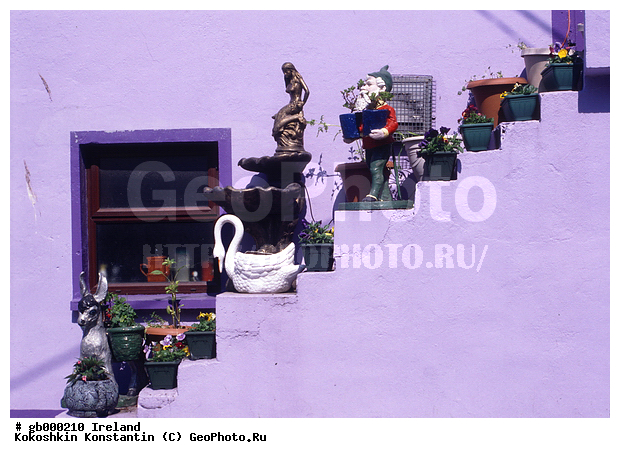 ������, ������������ �����, �������, ��������, �����, ����� � �������