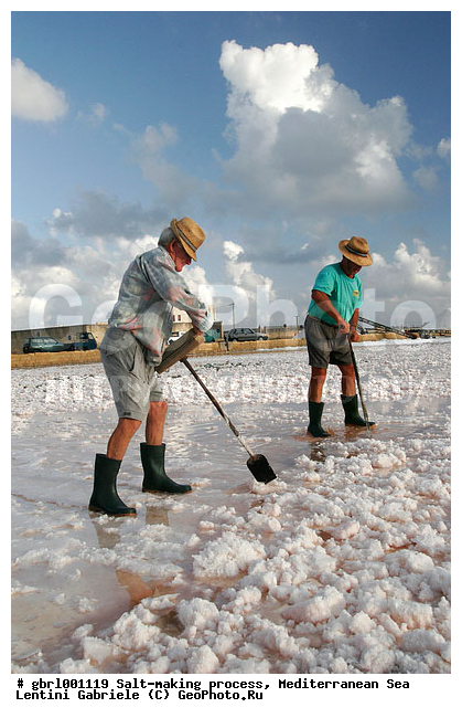 �������, ����������� ����, ������, ��������, ������, ������ ����, ����, ����, ������� ����, �������, ������ ����, ����, ������� ��������������, ���������, �������