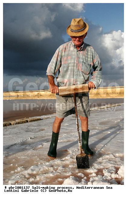 �������, ����������� ����, ������, ��������, ������, ������ ����, ����, ����, ������� ����, �������, ������ ����, ����, ������� ��������������, ���������, �������