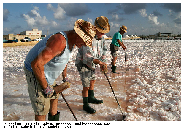 �������, ����������� ����, ������, ��������, ������, ������ ����, ����, ����, ������� ����, �������, ������ ����, ����, ������� ��������������, ���������, �������