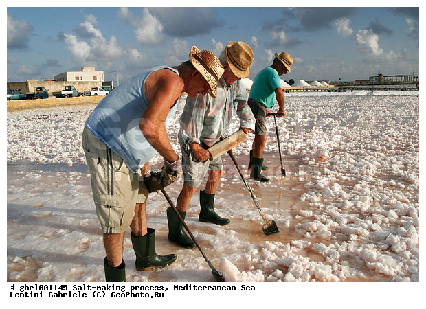 �������, ����������� ����, ������, ��������, ������, ������ ����, ����, ����, ������� ����, �������, ������ ����, ����, ������� ��������������, ���������, �������