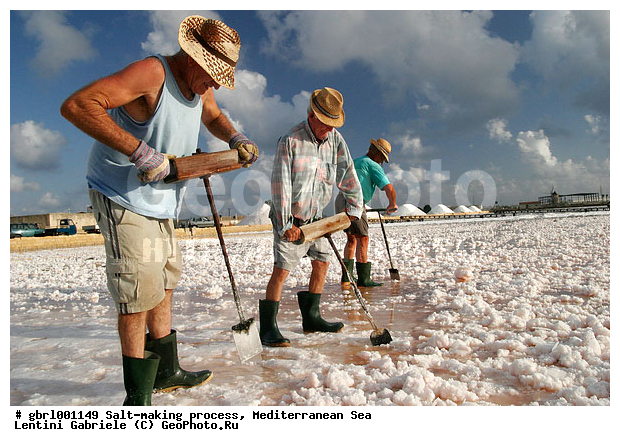 �������, ����������� ����, ������, ��������, ������, ������ ����, ����, ����, ������� ����, �������, ������ ����, ����, ������� ��������������, ���������, �������