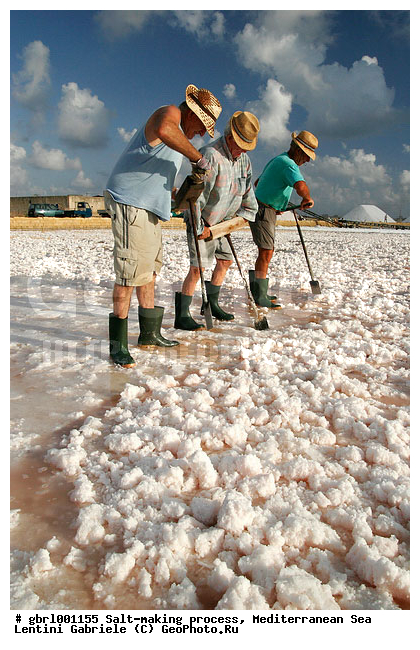 �������, ����������� ����, ������, ��������, ������, ������ ����, ����, ����, ������� ����, �������, ������ ����, ����, ������� ��������������, ���������, �������