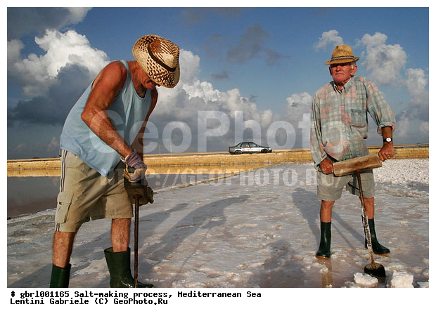 �������, ����������� ����, ������, ��������, ������, ������ ����, ����, ����, ������� ����, �������, ������ ����, ����, ������� ��������������, ���������, �������