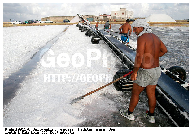 �������, ����������� ����, ������, ��������, ������, ������ ����, ����, ����, ������� ����, �������, ������ ����, ����, ������� ��������������, ���������, �������