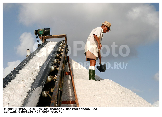 �������, ����������� ����, ������, ��������, ������, ������ ����, ����, ����, ������� ����, �������, ������ ����, ����, ������� ��������������, ���������, �������