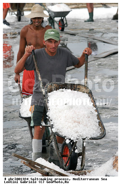 �������, ����������� ����, ������, ��������, ������, ������ ����, ����, ����, ������� ����, �������, ������ ����, ����, ������� ��������������, ���������, �������