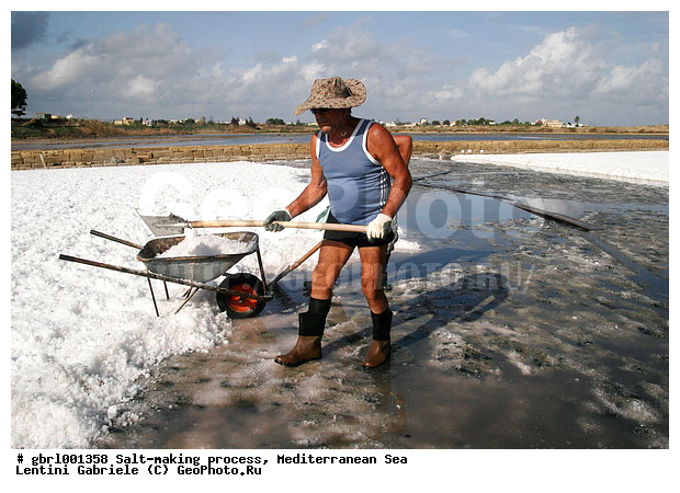 �������, ����������� ����, ������, ��������, ������, ������ ����, ����, ����, ������� ����, �������, ������ ����, ����, ������� ��������������, ���������, �������