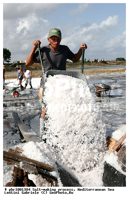 �������, ����������� ����, ������, ��������, ������, ������ ����, ����, ����, ������� ����, �������, ������ ����, ����, ������� ��������������, ���������, �������