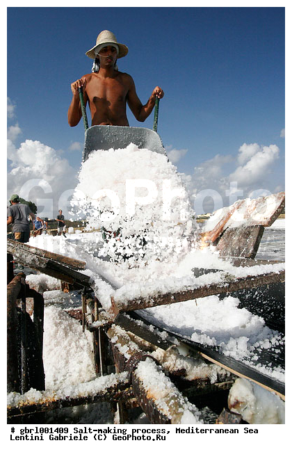 �������, ����������� ����, ������, ��������, ������, ������ ����, ����, ����, ������� ����, �������, ������ ����, ����, ������� ��������������, ���������, �������