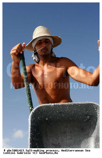 �������, ����������� ����, ������, ��������, ������, ������ ����, ����, ����, ������� ����, �������, ������ ����, ����, ������� ��������������, ���������, �������