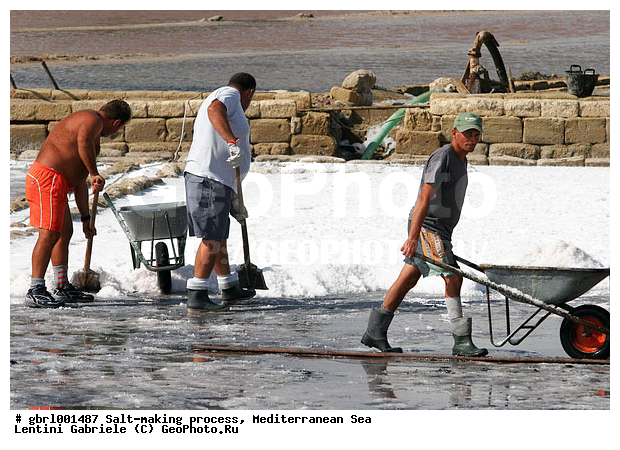 �������, ����������� ����, ������, ��������, ������, ������ ����, ����, ����, ������� ����, �������, ������ ����, ����, ������� ��������������, ���������, �������