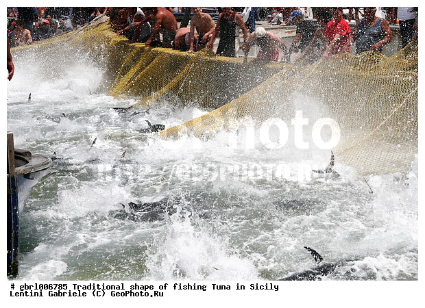 la mattanza, ����������� ����, �����, ������, ����, ��������, ������ �����, ���������� ����, ���������� ������, ����, ����, �����������, �����