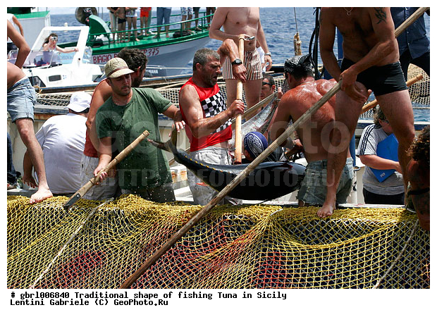 la mattanza, ����������� ����, �����, ������, ����, ��������, �����, ������ �����, ���������� ����, ���������� ������, ����, ����, �����������, �����, �������