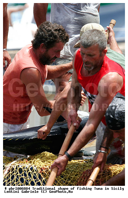 la mattanza, �����, ������, ��������, �����, ������ �����, ���������� ����, ���������� ������, ����, ����, �����, �������