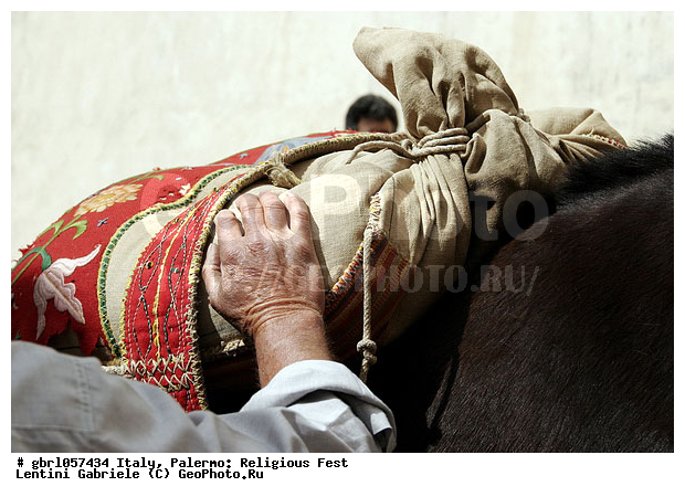 ������, �������, ��������, �������, ���������