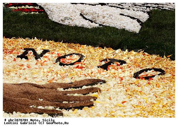 �������, ���������, ���������, ����������, ����������, ������, �����