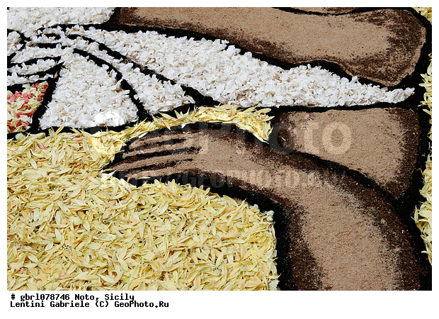 �������, ���������, ���������, ����������, ����������, ������, �����