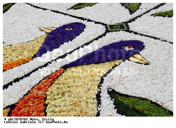 �������, ���������, ���������, ����������, ����������, ������, �����