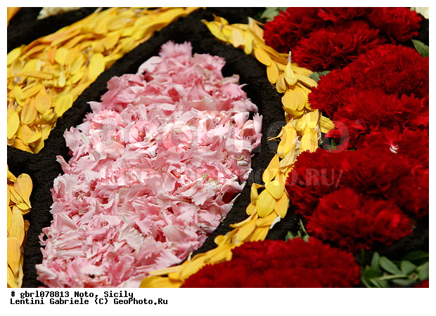 �������, ���������, ���������, ����������, ����������, ������, �����