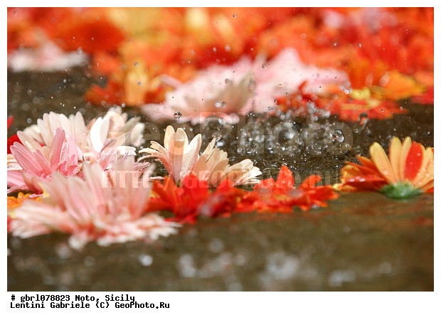 �������, ���������, ���������, ����������, ����������, ������, �����