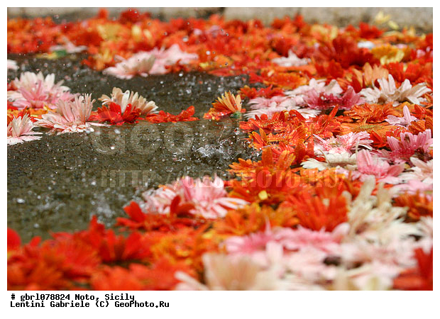 �������, ���������, ���������, ����������, ����������, ������, �����