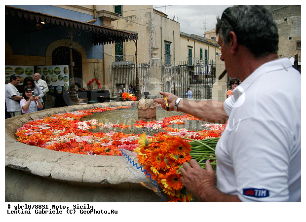 �������, ���������, ���������, ����������, ����������, ������, �����