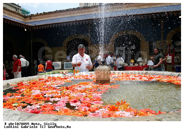 �������, ���������, ���������, ����������, ����������, ������, �����