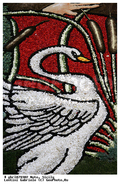 �������, ���������, ���������, ����������, ����������, ������, �����