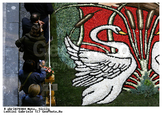 �������, ���������, ���������, ����������, ����������, ������, �����