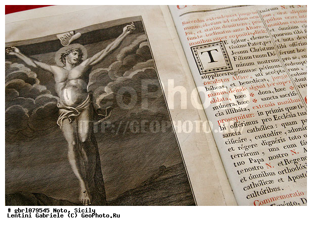 ���, �����, ����� �������, ����, �������, �����������, ������, �����