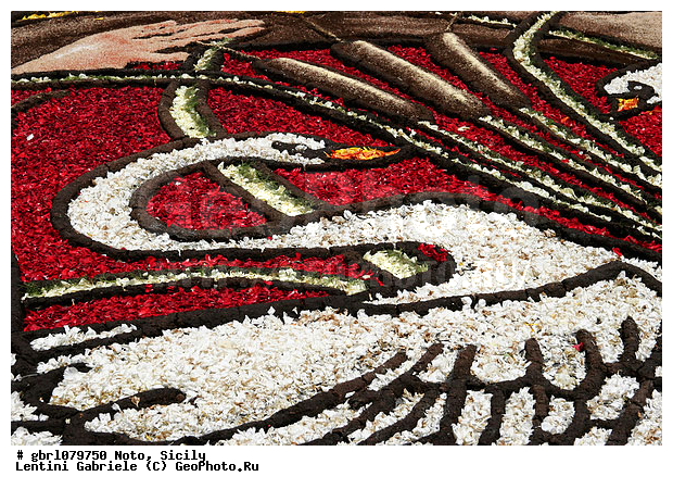 �������, ���������, ���������, ����������, ����������, ������, �����