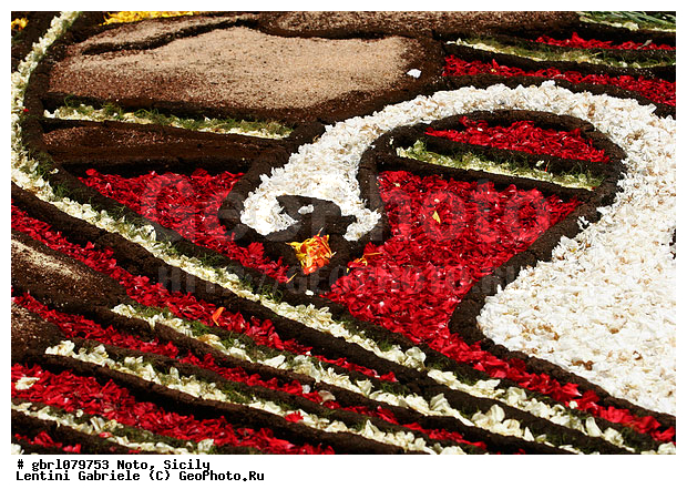 �������, ���������, ���������, ����������, ����������, ������, �����