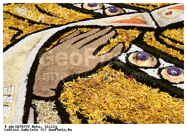 �������, ���������, ���������, ����������, ����������, ������, �����