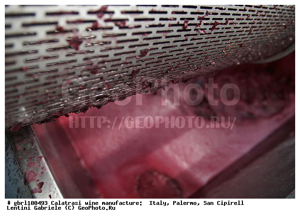 ������, �������, ����, ���������, ������������