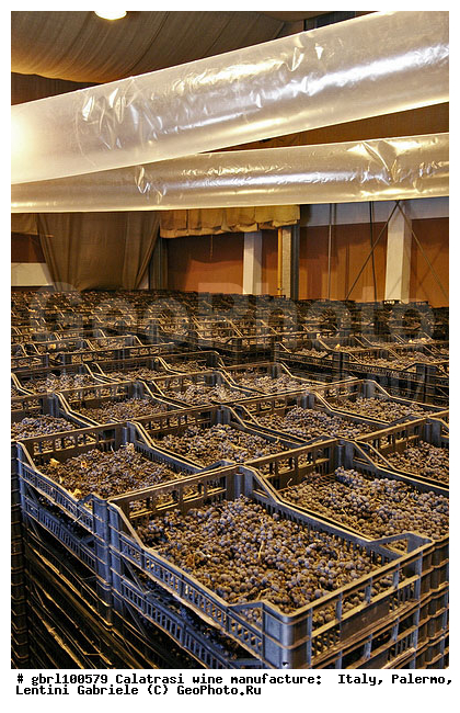 ������, �������, ����, ���������, ������������