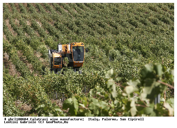 ������, �������, ����, ���������, ������������