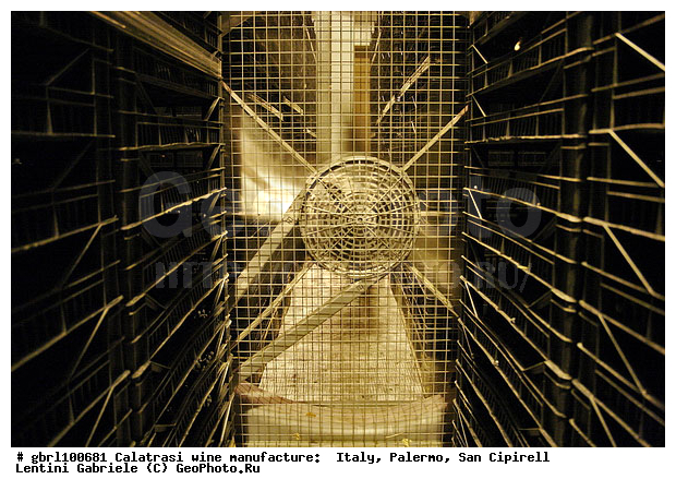 ������, �������, ����, ���������, ������������